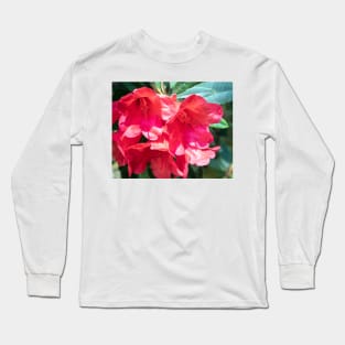 Red rhododendron flowers Long Sleeve T-Shirt